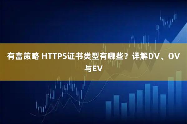 有富策略 HTTPS证书类型有哪些？详解DV、OV与EV