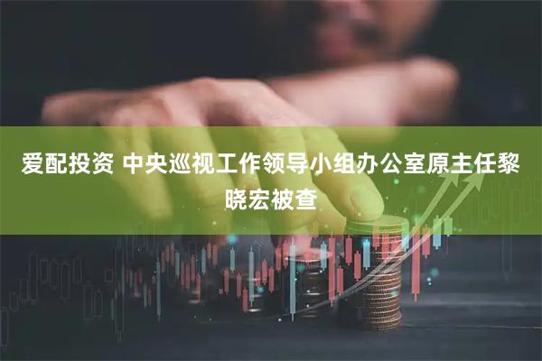 爱配投资 中央巡视工作领导小组办公室原主任黎晓宏被查