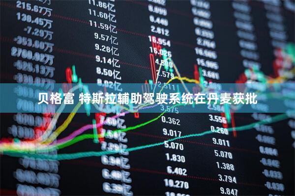 贝格富 特斯拉辅助驾驶系统在丹麦获批