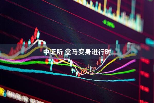 中证所 盒马变身进行时