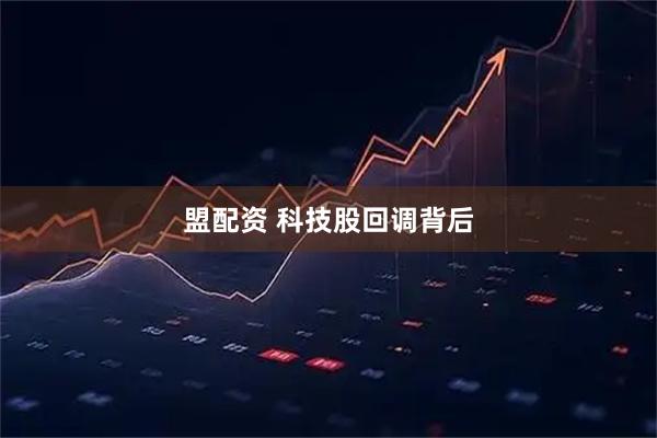 盟配资 科技股回调背后